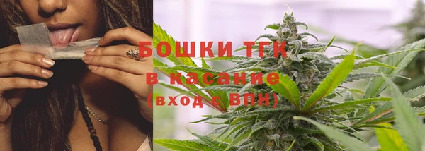 PSILOCYBIN Строитель