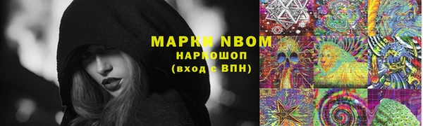 PSILOCYBIN Строитель