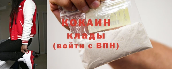 PSILOCYBIN Строитель