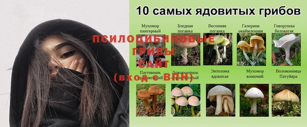 каннабис Струнино