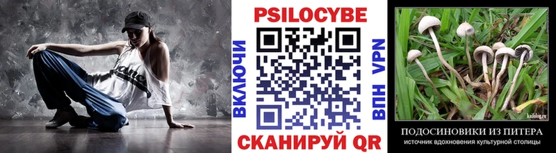 Псилоцибиновые грибы прущие грибы  даркнет телеграм  Томари 